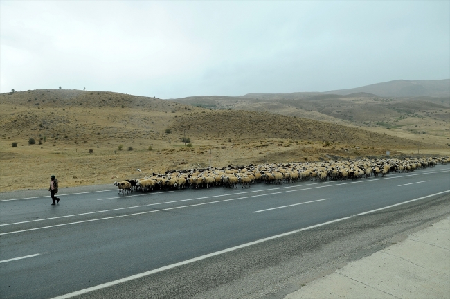 Göçerlerin Şanlıurfa'ya zorlu dönüş yolculuğu